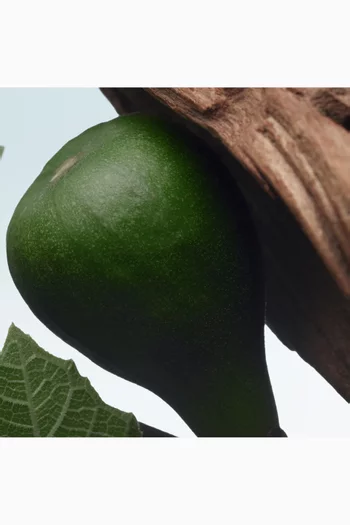 Santal Greenery Eau de Parfum, 100ml