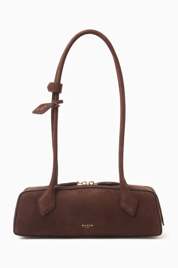 Small Le Teckel Shoulder Bag in Suede