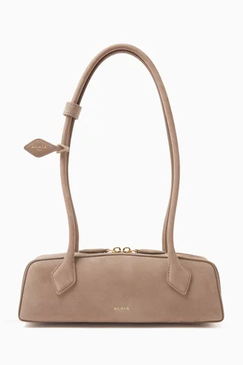 Small Le Teckel Shoulder Bag in Suede