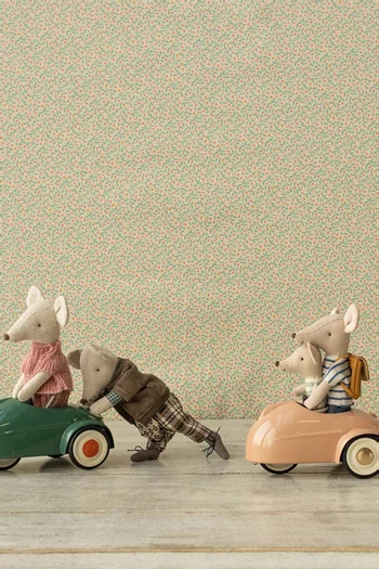 Mouse Car Toy