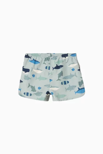 Aiden Swim Shorts