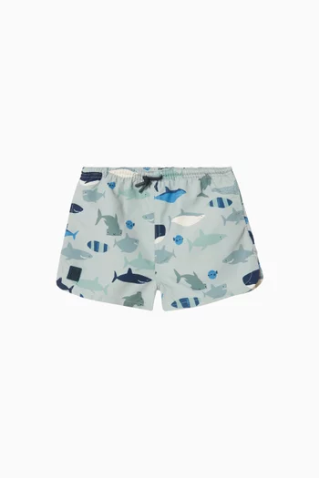 Aiden Swim Shorts
