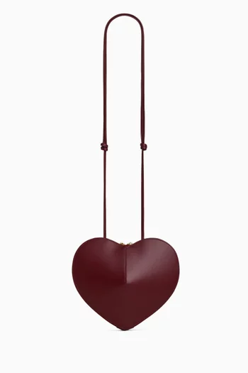 Le Coeur Crossbody Bag in Pony Hair