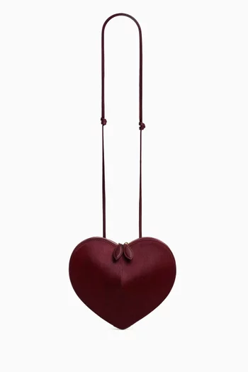 Le Coeur Crossbody Bag in Pony Hair
