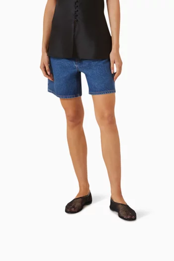 Britt Ballet Flats in Mesh