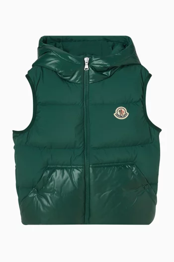 Voldan Hooded Down Vest