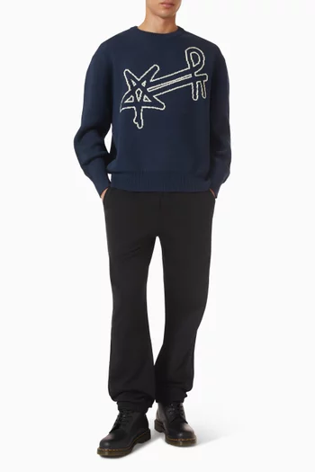 Jaquard Knit Sweater in Cotton