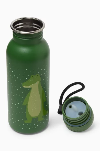 Mr. Dino Water Bottle, 500ml