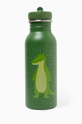 Mr. Dino Water Bottle, 500ml