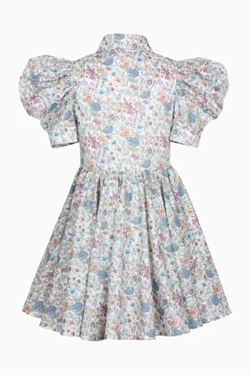 Carousel Dress