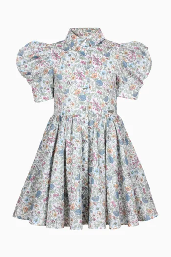Carousel Dress