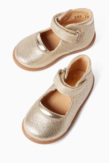 Mary Ballet Flats in Metallic Leather