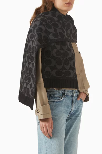 Jumbo Signature C Scarf
