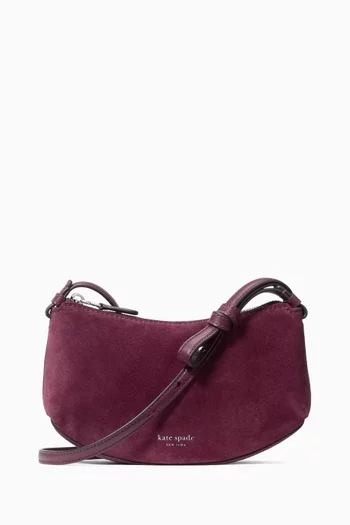 Loop Crossbody Bag in Suede