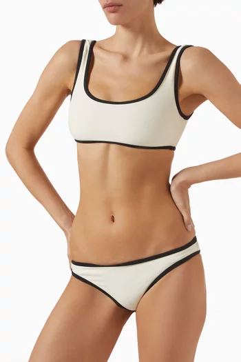 Most Wanted Matte Bikini Briefs