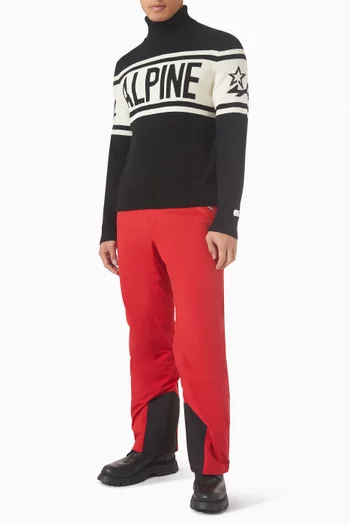 Schild Alpine Sweater in Knit