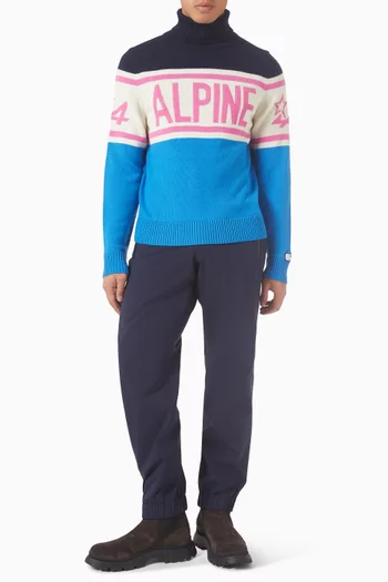 Schild Alpine Sweater in Knit