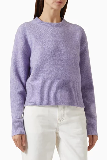 Alina Crewneck Sweater in Cashmere Blend