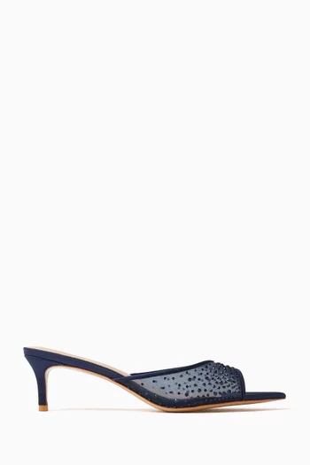 Anisa 55 Crystal Mule Sandals in Mesh