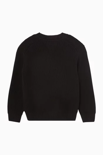 Logo Flag Sweater in Knit