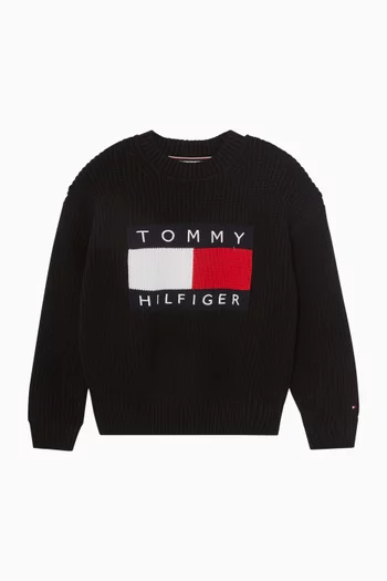 Logo Flag Sweater in Knit