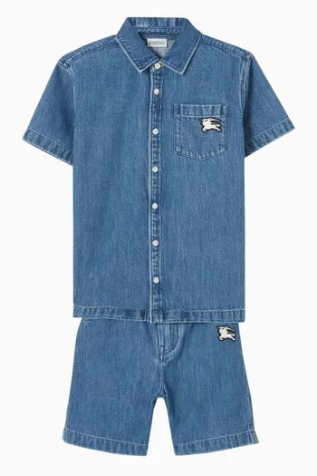 Castiel Embroidered Shorts in Denim