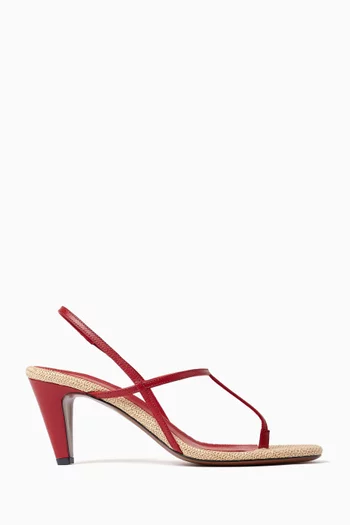 Arneb 65 Sandals in Leather & Raffia