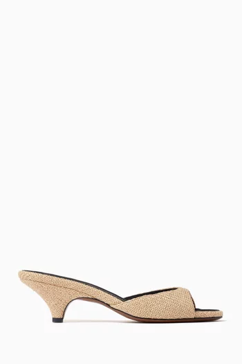 Hynia 40 Mules in Raffia