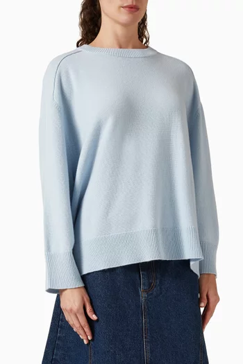 Dianeset Knit Sweater in Cashmere