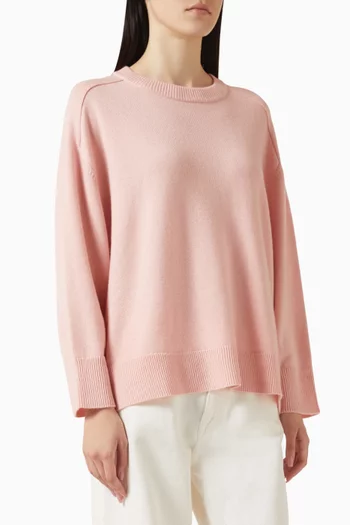 Dianeset Knit Sweater in Cashmere