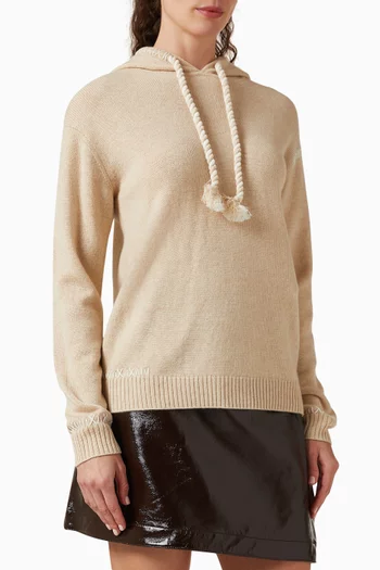 Baki Marl Hoodie in Cashmere