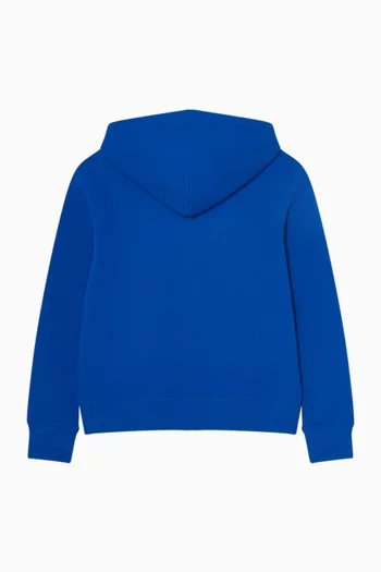 Polo Pony Hoodie in Cotton-blend