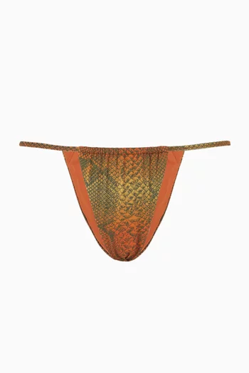 Signature Swim String Bikini Briefs