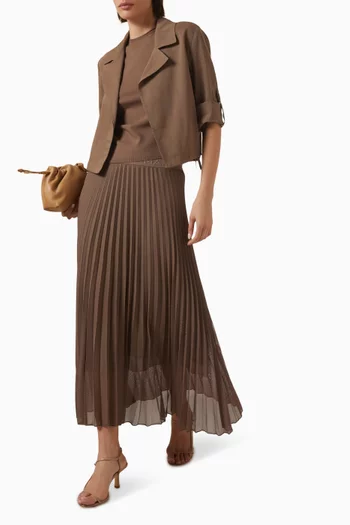 Pleated Skirt in Mesh