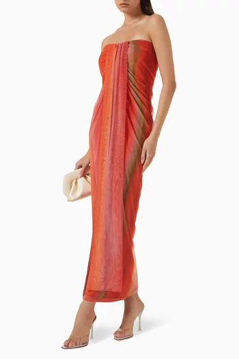 Lena Maxi Dress in Mesh