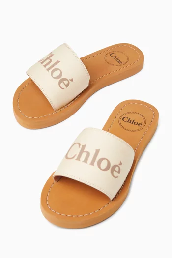 Logo Graphic Slides