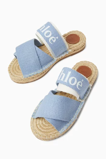 Logo Graphic Slides