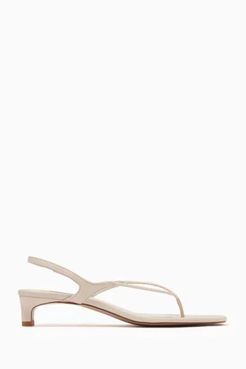 Modern Classics Genesis 45 Thong Sandals in Leather