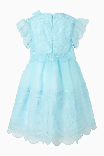 Embroidered Organza Dress