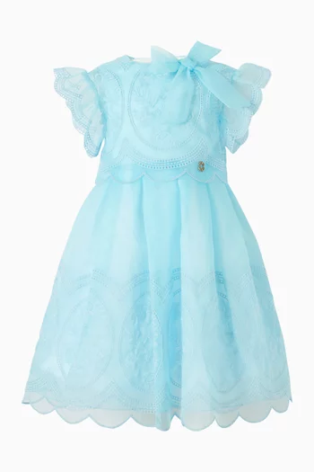 Embroidered Organza Dress