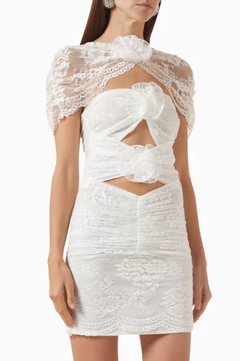 Wild Orchid Lace Dress