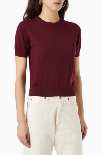 Knit Crewneck T-shirt in Cashmere Blend