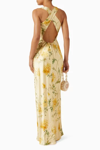 Anaiis Maxi Dress in Silk