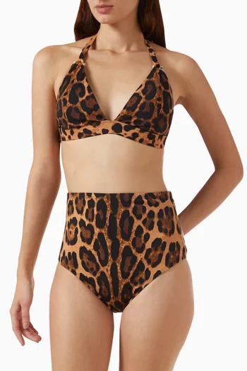 Leopard-print High-waisted Bikini Briefs
