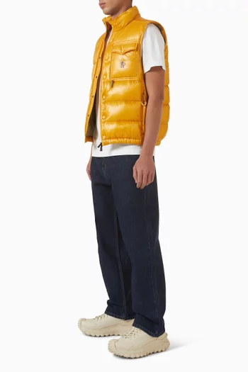 Uychi Down Vest