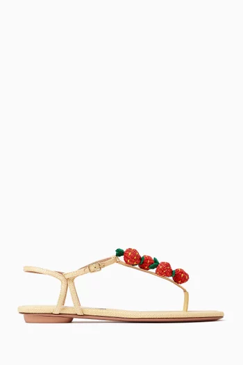 Fragolina Sandal Flats in Woven Raffia