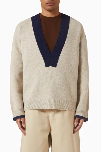Echo Knit Sweater in Wool