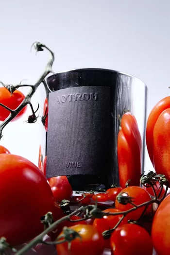Series 1 Vine Candle, 300g