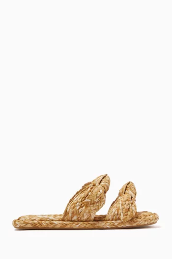 Carousel Slides in Raffia