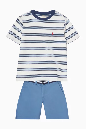 Bedford Bermuda Shorts in Cotton